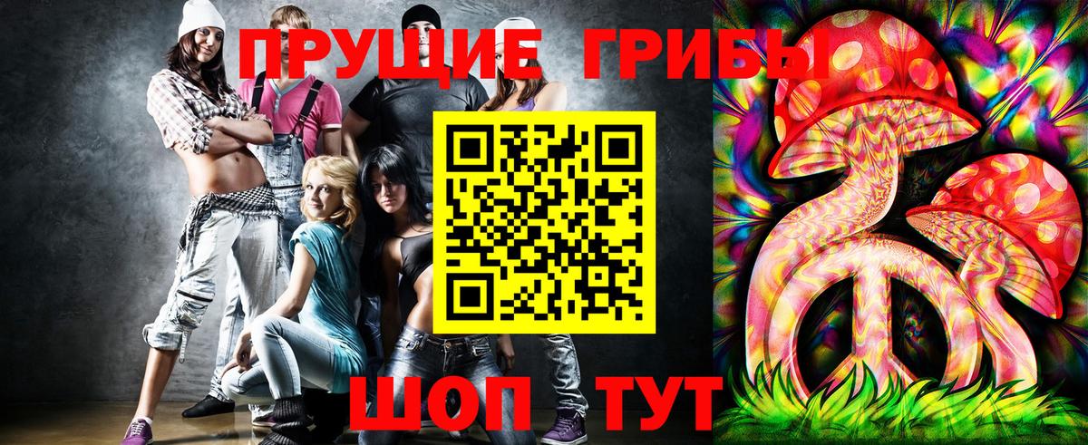 дарнет шоп  Вход с VPN  Новотроицк  Псилоцибиновые грибы мухоморы 